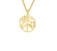 ZIAFRPN Signe de Paix Harmonie et Coexistence Collier étoile de David Hexagramme Croix Om Symbole Bijoux