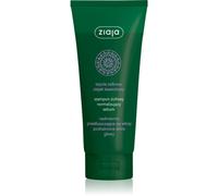 Ziaja Herbal shampoing pour cheveux gras 200 ml