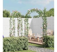 Ziaphsol Arche de Jardin 2 pcs pour Plantes grimpantes en Fer Vert foncé Robuste, Support pour Rosier, Vigne, Lierre, idéal pour terrasse, Cour ou entrée extérieure