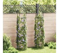 Ziaphsol Arche de Jardin en Fer Vert foncé pour Support de Plantes grimpantes, pergola ou tonnelle Robuste, décoration extérieure pour Patio, Cour ou allée, Ensemble de 2 pièces