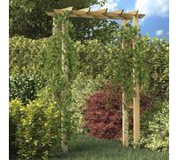 Ziaphsol Arche pour rosiers en Bois imprégné 150 x 60 x 204 cm Support pour Plantes grimpantes, pergola Jardin, Structure décorative pour terrasse et allée