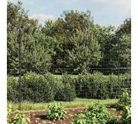 Ziaphsol Clôture grillagée avec manchons de sol en anthracite - 1,4 x 10 m - Clôture en acier durable avec revêtement en PVC pour jardin, terrain et enclos pour animaux - Avec poteaux, entretoises et