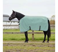 Ziaphsol Couverture Équine Vert 95 cm en Polyester résistante pour extérieur Paddock écurie Prairie Hiver Protection Chaleur Respirante avec Attache Garrot et Encolure