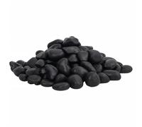 Ziaphsol Galets noirs polis - 10 kg - 2 à 5 cm - Décoration naturelle pour aquarium - Pour aquascaping, terrarium, terrain de lache, crevettes, poissons, décoration avec surface lisse et drainage