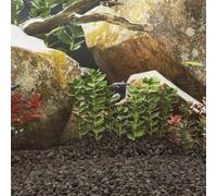 Ziaphsol Gravier de basalte noir 25 kg 5 à 8 mm comme fond d'aquarium, substrat et gravier naturel pour bassins, aquascaping, sol de plantation, crevettes et poissons