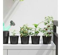 Ziaphsol Pot à Fleurs Rond Noir 200 pcs, Plastique Durable, Ø 10 x 8 cm, Drainage intégré, Usage intérieur et extérieur, Balcon, terrasse, Jardin, décoration Design
