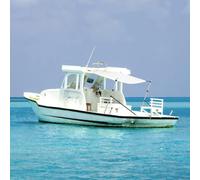 Ziaphsol Rallonge d'ombrage T-Top - Blanc - 170 x 170 x 115-183 cm - 600D - Polyester PU - Cadre en aluminium - Protection solaire pour bateau et bimini - Pour bateau à moteur, yacht, port