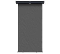 Ziaphsol Store latéral de Balcon Anthracite 170 x 250 cm en Polyester 100 pour Cent, Fer et Acier, Protection Soleil UV Pluie, intimité terrasse Balcon Jardin extérieur