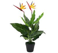 Ziaphsol Strelitzia reginae Fleur d'oiseau de paradis artificielle, 66 cm, décoration pour salon, bureau, avec 12 feuilles et 2 fleurs, dans pot en plastique, réaliste