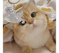 Zibeem Porte-clés Poils de Chat - Porte-clés en Poil de Chien - Pendentif Transparent pour Sac à Main Femme Homme Accessoire Sac à Dos et Ornement