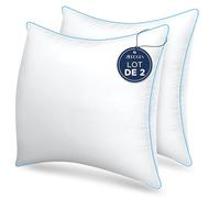 Zibroges Oreiller 60x60 cm Lot de 2 Oreillers pour Dormeurs, Hotellerie de Luxe Oreiller Super Doux et Rafraîchissant, Ergonomique Oreiller Moelleux Anti Acariens Coussin, Lavable