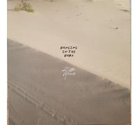 Alberts,Ziggy - Dancing in The Dark [Import]