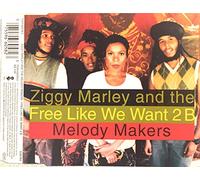 Ziggy Marley And The Melody Makers - Free Like we Want 2 b [Import]