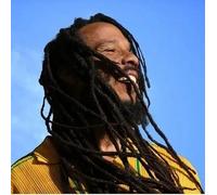 Ziggy Marley - Brightside [Vinilo]