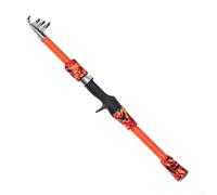 Zilimontt Canne à pêche télescopique pour enfants - Canne à pêche compacte et pliable de 165 cm, construction légère en fibre de verre, design lisse et sensible, pour débutant idéal pour les jeunes