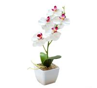 Zilimontt Phalaenopsis artificiel en pot à cinq têtes pour une décoration élégante de la maison et du bureau, construction en plastique avec aspect réaliste, pour plusieurs paramètres (blanc)