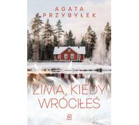 Zima, kiedy wróciłeś - Agata Przybyłek (Literatur, Gesellschaftsroman auf Polnisch)