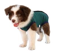 ZIMAOSHAN Combinaison de Convalescence pour Chiens après Une Chirurgie, Alternative au Collier électrique et au cône, Combinaison Anti-léchage pour Chien, Anti-Morsure, grenouillère chirurgicale pour