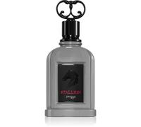 Zimaya Eau de Parfum pour homme Stallion – 100 ml
