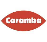 Zinc en spray gris alu 500 ml Caramba 60768505