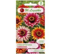 Zinnia « Caroussel » - mélange de fleurs bicolores