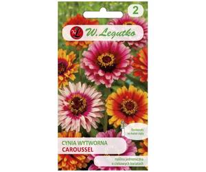 Zinnia « Caroussel » - mélange de fleurs bicolores