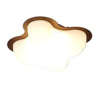 zishuo shop Appliques Murales,Tit Plafonnier Led,S de Plafond Modernes À Intensité Variable, Plafonnier 12 W Avec Abat-Jour En Polyéthylène Pour Salon, Chambre, Couloir, Allée, Plafonniers D'Intérieur