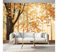 ZISTRCBAO Grand Papier Peint Panoramique Paysages Forestiers D'Automne