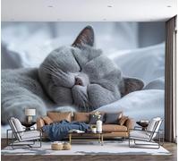 ZISTRCBAO Papier Peint Chat British Shorthair Endormi 350x256cm, Thème Des Animaux De Compagnie Guérisseurs Grandes Murales Poster, Soie Papier Peint Pour Salon Chambre Bureau Couloir Décor Mural