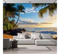 ZISTRCBAO Papier Peint Littoral Hawaïen 350x256cm Murale Photo