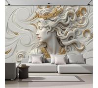 ZISTRCBAO Papier Peint Soie Panoramique Portrait De Profil D'Une Femme Classique, L'Art Baroque Poster Geant Mural Pour Salle Des Enfants Chambre Couloir Peinture Décoration Murale 250x175cm