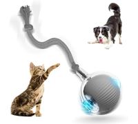 Ziswin 2026 Balles interactives pour chat, activées par le mouvement, mouvement de roulement automatique intelligent à 360 °, pour chatons ennuyeux, gris