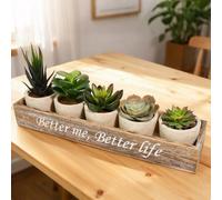 Zithgen Succulentes Artificielles en Pot | Lot de 5 avec Plateau en Bois Naturel | Plantes Grasses Réalistes sans Entretien | Décoration pour Bureau, Maison, Étagère | Idée Cadeau Parfaite