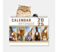 ZITUZY Calendrier 2025 avec boules de chat - Calendrier mural 2025 amusant - Chasseur de chats - Cadeau amusant pour les amoureux des chats, la famille, les amis