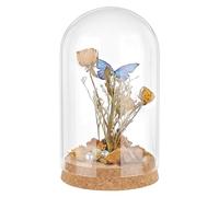 ZIUBMVDYC Dôme en Verre, Cloche en Verre avec dôme, Cloche liège, Petites Bouteilles, bocaux décoratifs, vitrine de 16x9cm