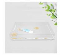 ZIUBMVDYC Évier Peu Profond en Acrylique, Plateau de Photographie en Acrylique, réservoir d'eau Peu Profond, boîte Rangement Transparente for Aliments et cosmétiques(50 * 50 * 5cm/19.6x19.6x1.9'')