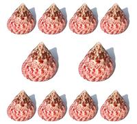 ZIUBMVDYC Lot de 10 escargots Rouges for décoration Mariage, fête sur Le thème la Plage, décorations for Maison -Coquillages naturels