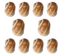 ZIUBMVDYC Lot de 10 vis à Embouchure d'environ 3,5 cm for décoration Mariage, fête sur Le thème la Plage, décorations for Maison -Coquillages naturels