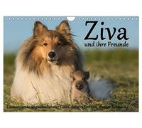 Ziva et ses amis, Version française (Calendrier mural 2026 DIN A4 portrait), Calendrier CALVENDO mensuel