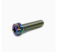 Zixinz-Vis cylindriques Boulons en Titane TC4Gr5 M10X20 25 30 35 40 45 50 55 60 mm, Bride Torx for Frein à Disque de Moto, 4 pièces Résistance à la Corrosion(M10X1.25 Rainbow,30 Mm)