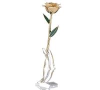 zjchao 24 Carat Doré Réel Rose Éternellement pour l'anniversaire de Mariage, la Saint-Valentin, Noël, Anniversaire, 29cm Longueur, Emballé dans la Boîte de avec Présentoir Clair (Blanc)