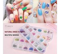 ZJchao 24pcs 12 Fleurs Séchées aux Nails Décorations D'Ongles Embellissements D'Ongles Accessoires de Conception de Ongles Différents Styles Gypsophile Petite Marguerite Cinq Pétales (Comme montré