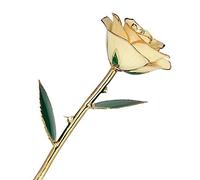 zjchao Amour Éternellement 24K Doré Réel Rose, de l'amour Noel Idee Femme Maman Rose Eternelle Fleurs Artificielles (Blanc)