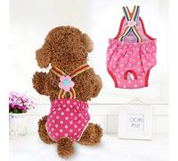 ZJchao Couches pour Chiens pour Chiens Féminins, Pantalon Anti Sale (N ° 16 (XL) Il est recommandé Que Les Ventes)