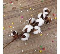 ZJchao Fleurs en Coton Séchées Naturelles, 3 Pièces, 10 Tiges, 60cm, pour Fête de Mariage, Décoration de la Maison
