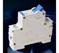 ZJchao Mini Disjoncteur 230VAC 1 Pôle, Interrupteur de Coupure 32A, Protection de sécurité électrique Domestique (63A)