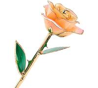 ZJchao Rose en or 24 carats, véritable plaqué or, rose 24 carats, fleurs argentées, Saint-Valentin, amour éternel plaqué or 24 carats, d'amour