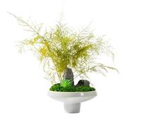 ZJFHEYUO Arbre Artificiel Chinois Zen Mousse Fleur Art Plante Verte Petit Bonsaï Intérieur Salon Salon de thé Étude Bureau Décoration Arbre Artificiel Intérieur
