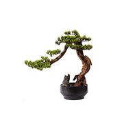 ZJFHEYUO Plantes artificielles Simulation Bienvenue Pin Ornements Artificiel Podocarpus Bonsaï Fausses Plantes Vertes Zen Pot Porche pour Salon de Thé, Bureau, Décoration de Hall