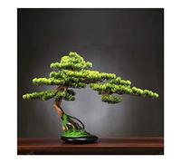 ZJFHEYUO Plantes artificielles Yingbin Pin Simulation Arbre Fausse Plante Bonsaï Jardin Intérieur Maison Bureau Décoration de Bureau Plante Verte Simulation Arbre Ornements Bonsa